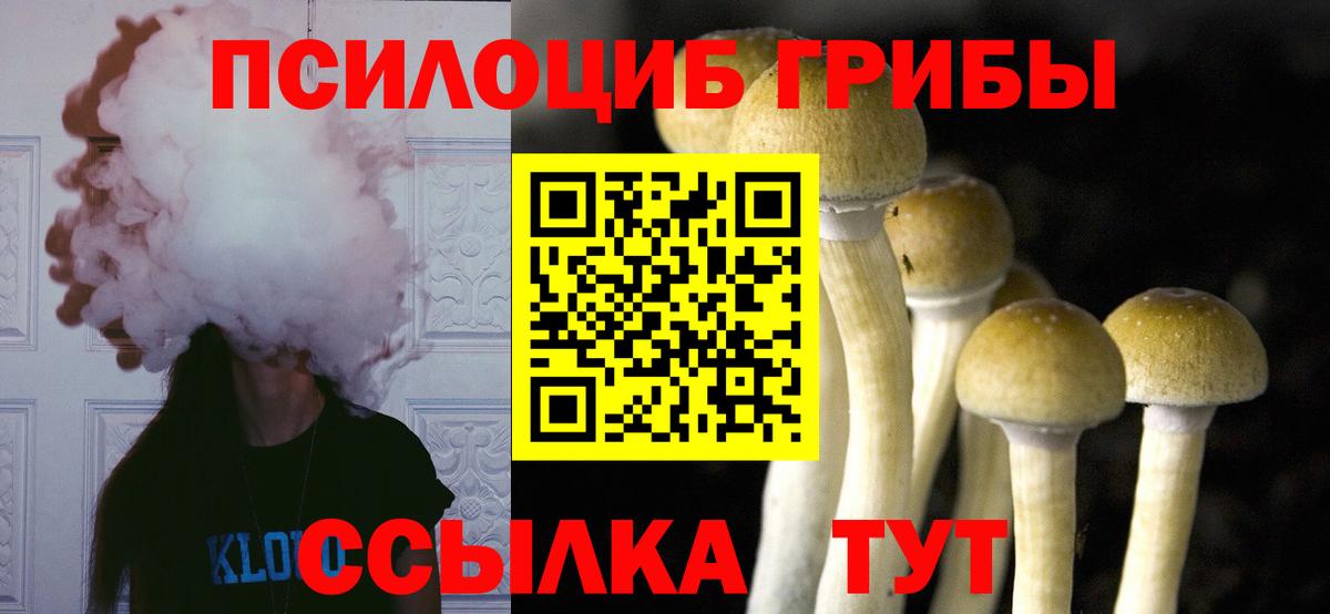 Галлюциногенные грибы прущие грибы Верхняя Салда