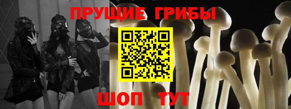 Верхняя Салда  Псилоцибиновые грибы Psilocybine cubensis  Вход с VPN  купить наркотик  Псилоцибиновые грибы Psilocybine cubensis 